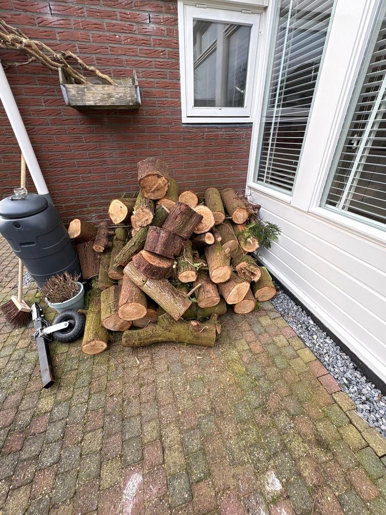 Dennenhout blokken, Minder dan 3 m³, Ophalen, Overige houtsoorten, Blokken