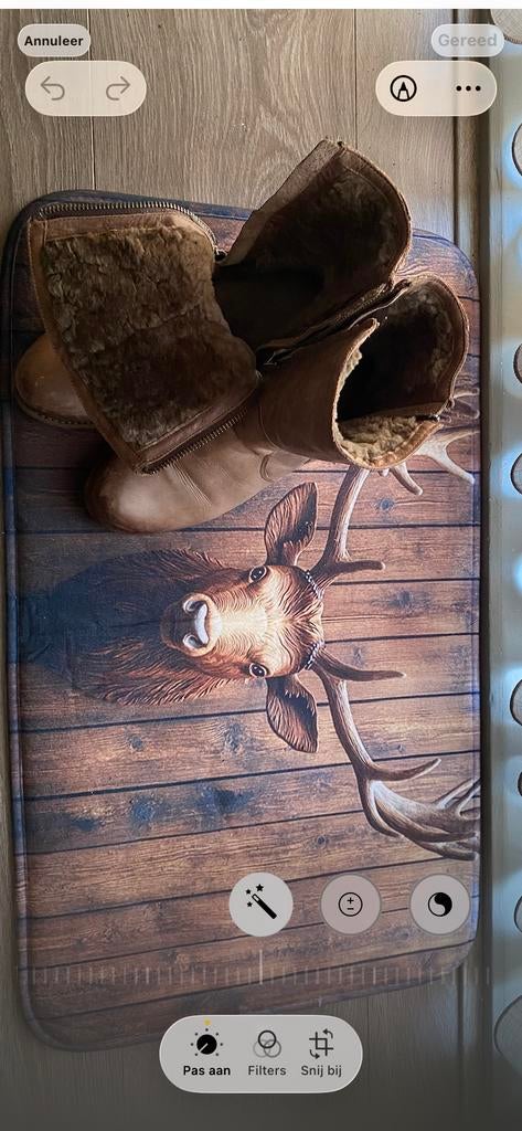 Blackstone stoere leren laarzen taupe bont gevoerd mt 40, Ophalen of Verzenden, Gedragen, Bruin, Lage of Enkellaarzen