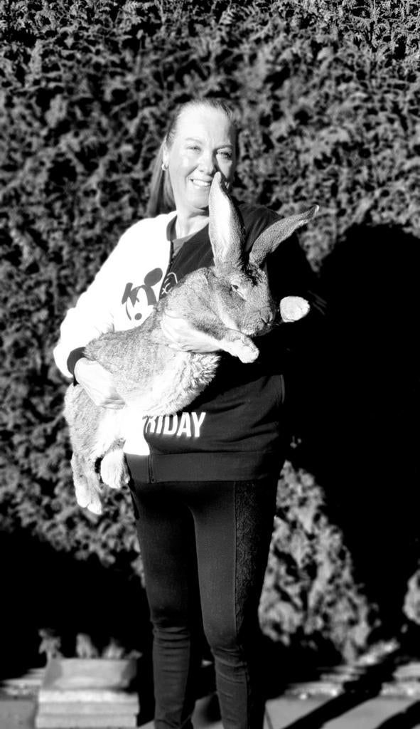 Duitse reuzen XXL lijn, Meerdere dieren, Groot, 0 tot 2 jaar