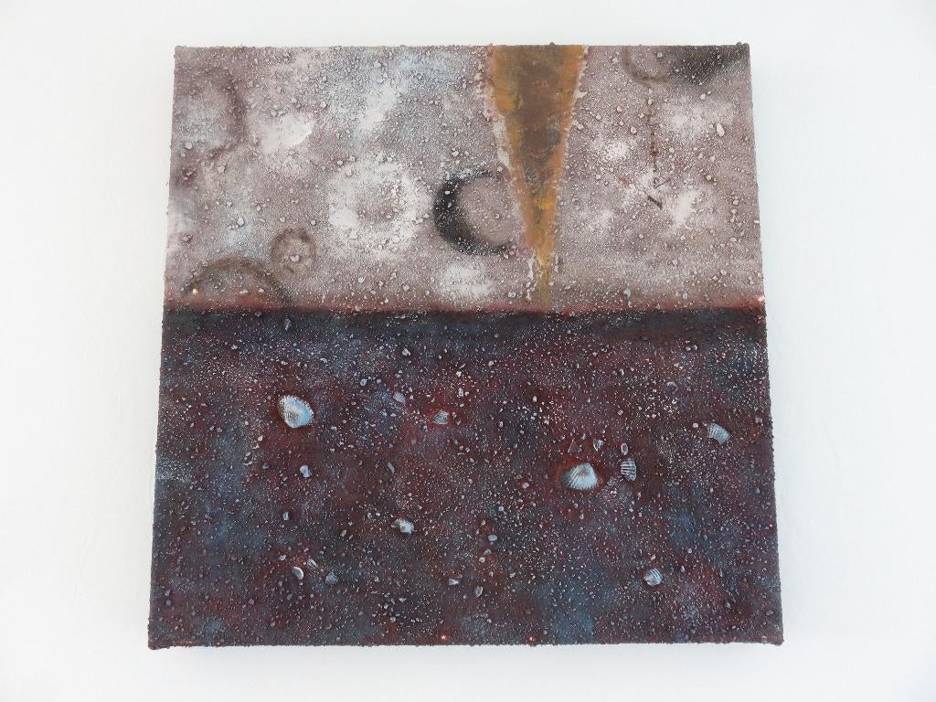 Modern schilderij op doek met schelpen - 20e eeuw, Ophalen