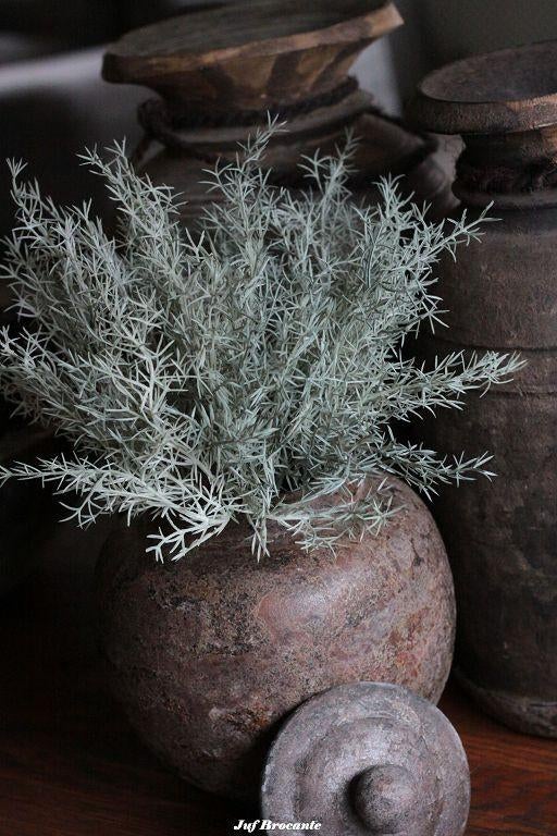 Asparagus bush, toef, toefje, zijdebloem, kunst, bos, Www.jufbrocante.nl, Www.jufbrocante.nl, Nieuw, Ophalen of Verzenden