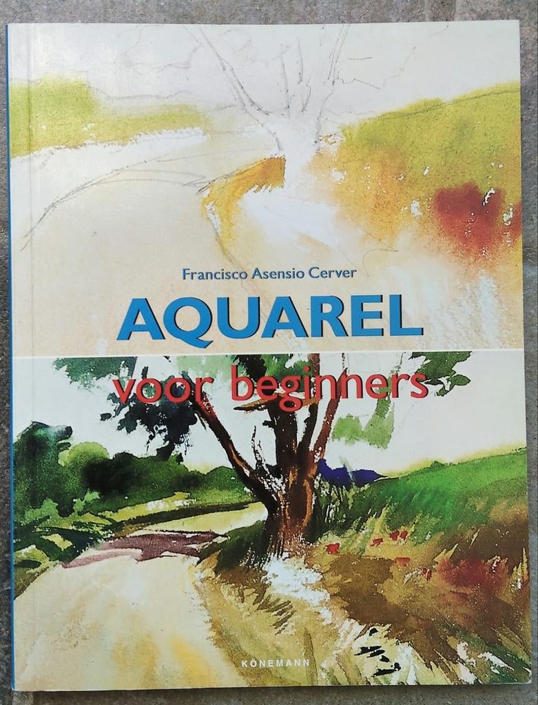 Aquarel voor beginners Francisco Asensio Cerver, Hobby en Vrije tijd, Ophalen of Verzenden