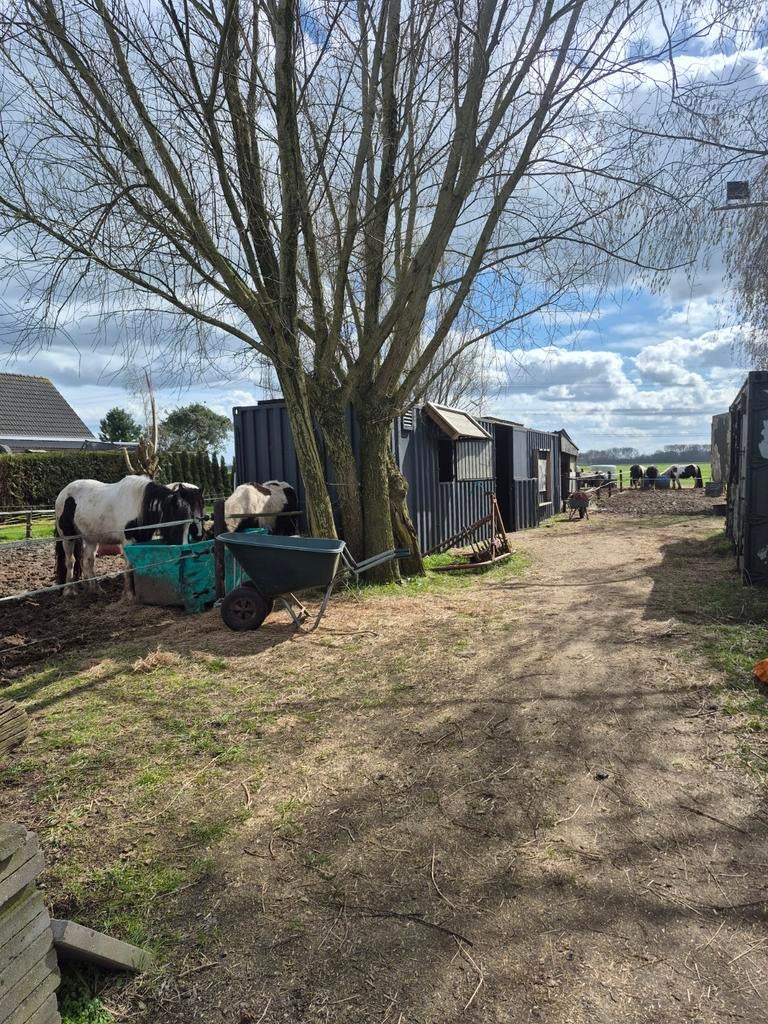 Wil je ook dat je dier op nr 1 staat er is nog plek!!!!!, Stalling