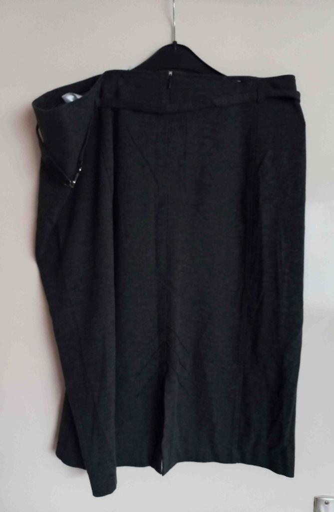 Nieuwe nette rok Frank Walder, Kleding | Dames, Rokken, Maat 46/48 (XL) of groter, Nieuw, Ophalen of Verzenden, Grijs