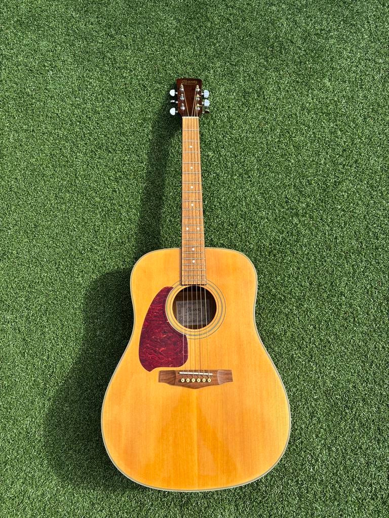 Ibanez PF10LNT linkshandige akoestische gitaar., Ophalen, Zo goed als nieuw, Western- of Steelstringgitaar