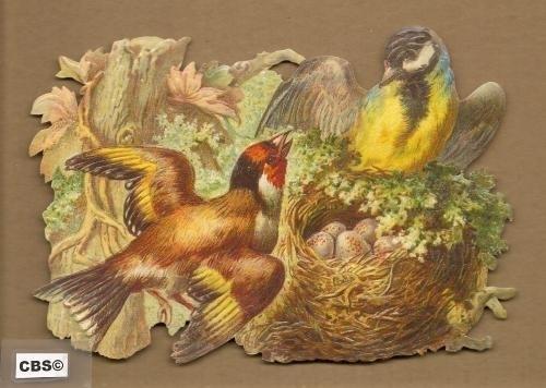 Vogels bij het nest poezieplaatjes 5044, Ophalen of Verzenden