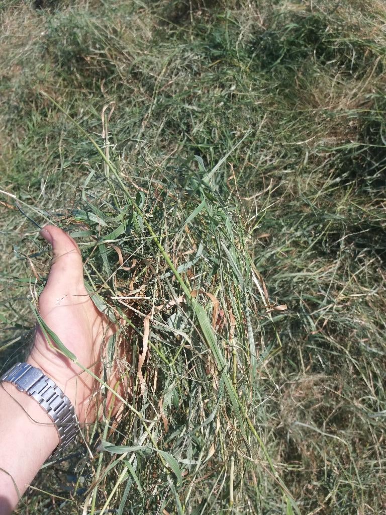 Kleine balen hooi suiker arm, Ophalen, Vee