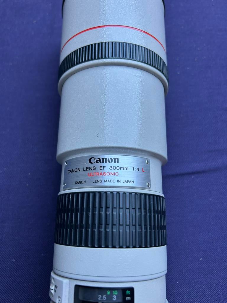 Canon EF 300mm 1:4 L USM lens, Audio, Tv en Foto, Fotografie | Lenzen en Objectieven, Ophalen, Gebruikt, Telelens