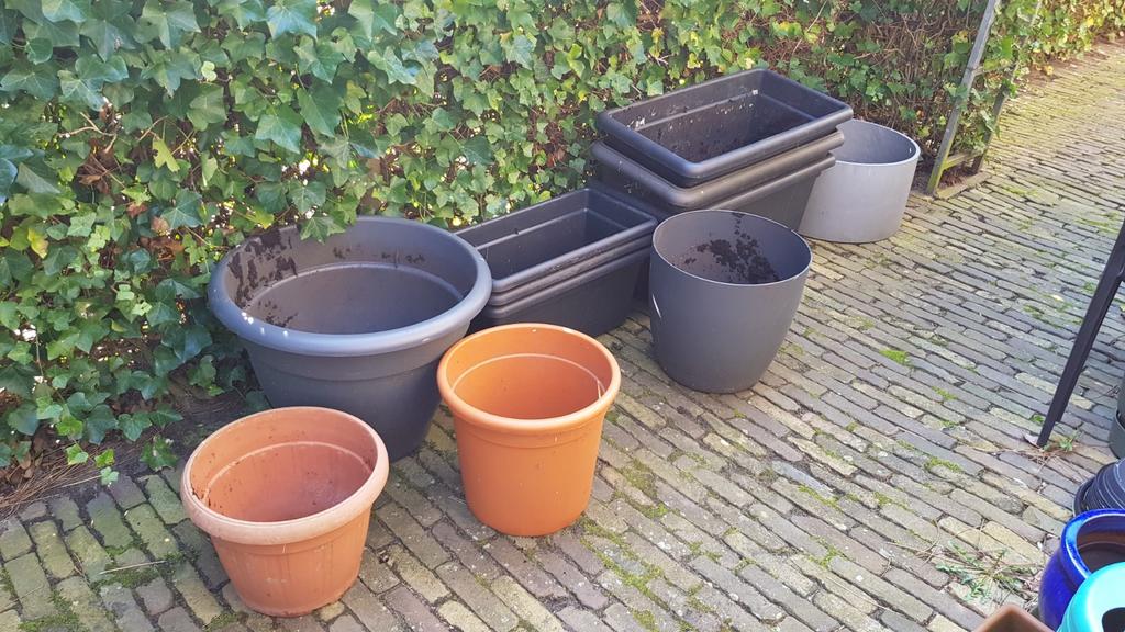 8x grote grijs elho bloempotten 3x andere merk bloembakken, Ophalen, Kunststof, Gebruikt, 40 cm of meer