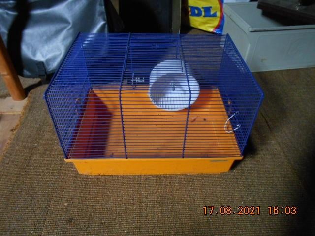 hamsterkooitje, Minder dan 60 cm, Kooi, Minder dan 75 cm, Ophalen of Verzenden