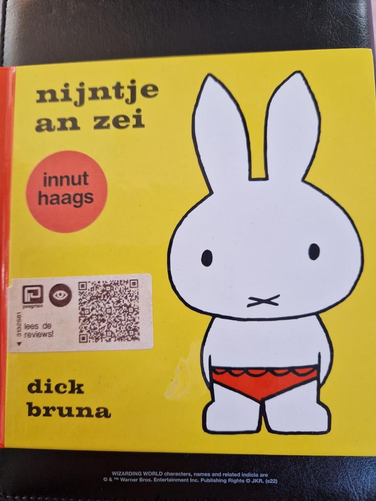 Nijntje aan Zee in het Haags, Ophalen of Verzenden, Nieuw