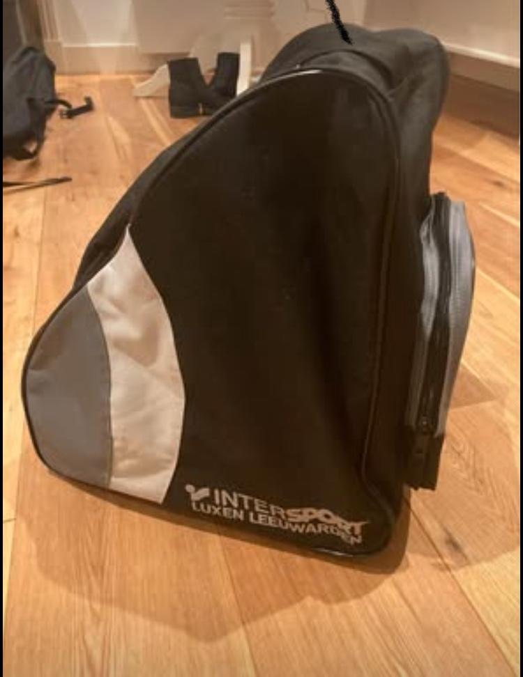 Salomon S/max X7, Sport en Fitness, Skiën en Langlaufen, Zo goed als nieuw, Ski's, Skiën, Overige merken, Carve, 160 tot 180 cm