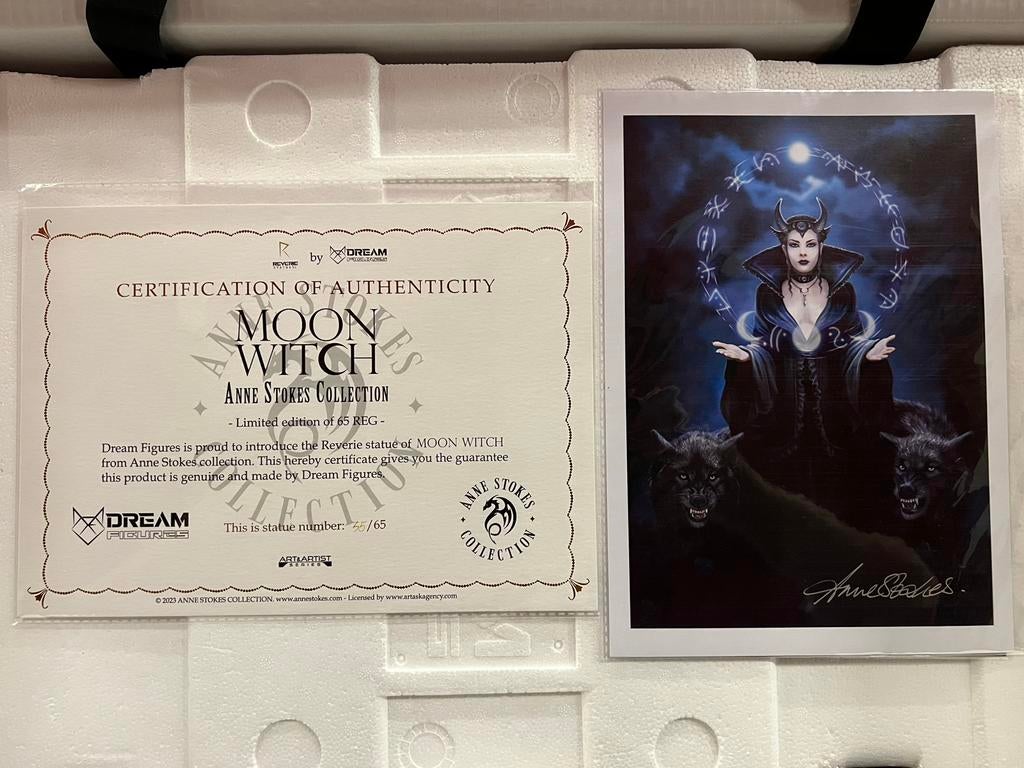 Anne Stokes Beeld Moon Witch 43cm Gesigneerd 55/65, Ophalen of Verzenden, Nieuw, Fantasy