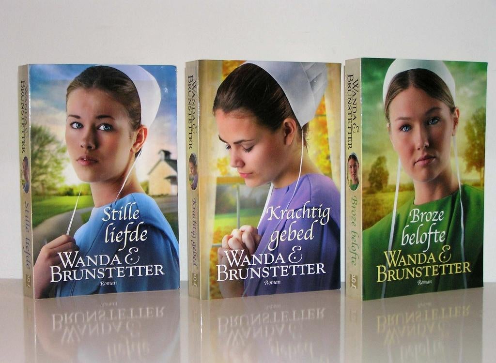 Wanda E. Brunstetter - De Indiana Amish (christelijke serie), Boeken, Ophalen of Verzenden, Zo goed als nieuw