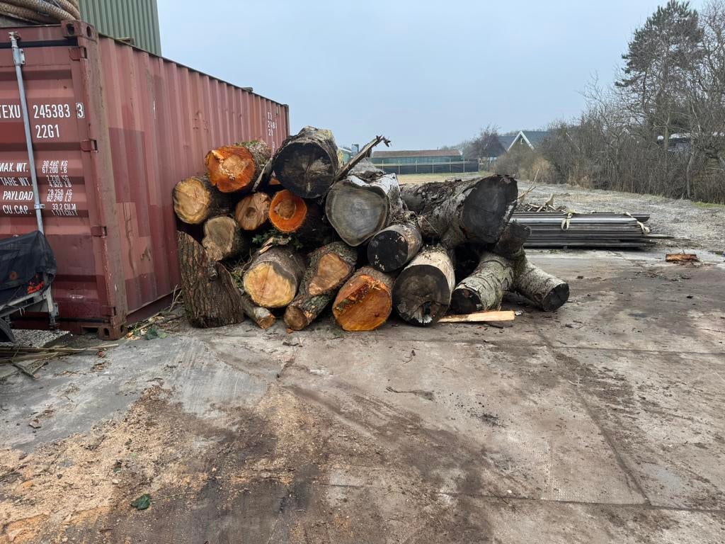 Stam hout, 6 m³ of meer, Ophalen of Verzenden, Overige houtsoorten, Stammen