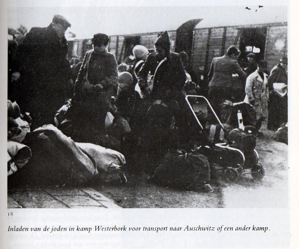 Woltjer, dr. J.J. - Recent verleden (1992 1e dr.), Ophalen of Verzenden, Nieuw