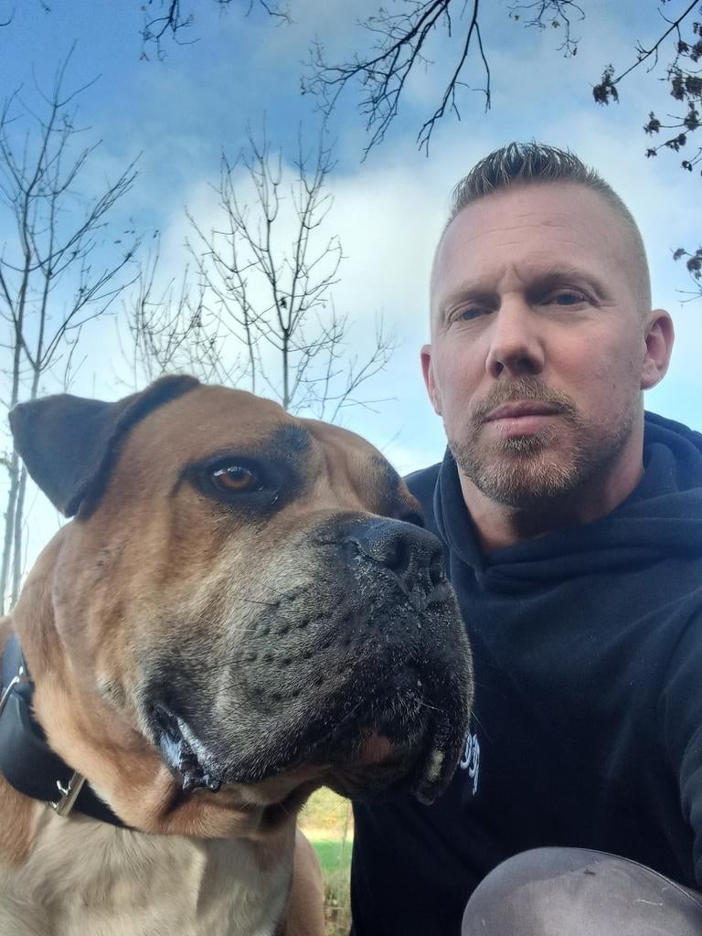 Boerboel stamboom molosser bull dekreu mastif, Dieren en Toebehoren, Reu, Parvo, Eén hond, 3 tot 5 jaar