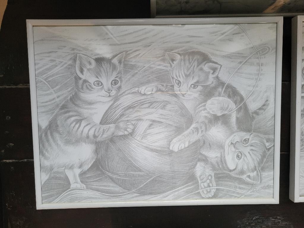 Tekeningen van katten, Minder dan 50 cm, Gebruikt, Tekening, Ophalen of Verzenden