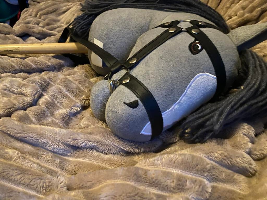 Leuk stokpaard voor kinderen, Ophalen, Gebruikt, Jongen of Meisje