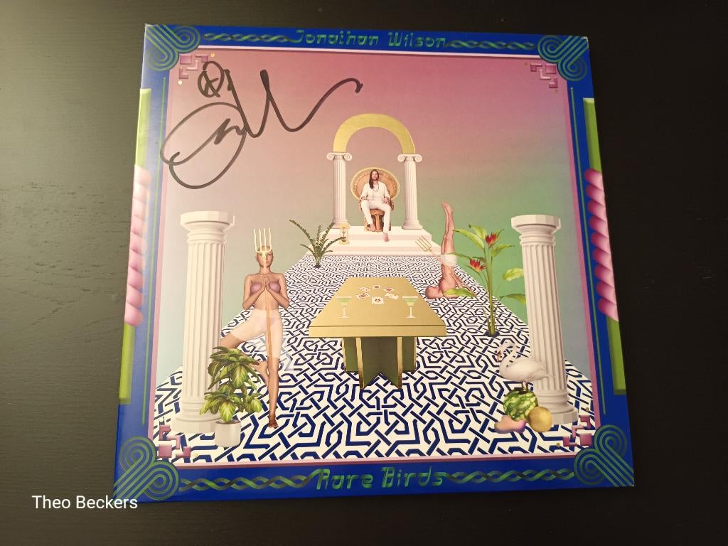 Jonathan Wilson - Rare Birds, Ophalen of Verzenden, Nieuw in verpakking, 12 inch, Poprock