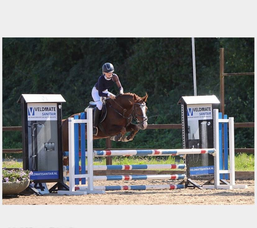 Bijrijd pony gezocht!!!, Dieren en Toebehoren, Ophalen of Verzenden, Nieuw