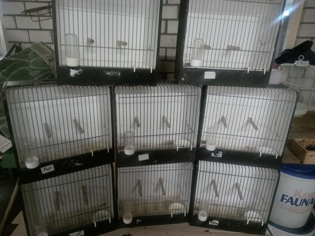 Te Koop, tentoonstelling kooien., Dieren en Toebehoren, Vogels | Hokken en Kooien, Ophalen, Hout, Vogelkooi