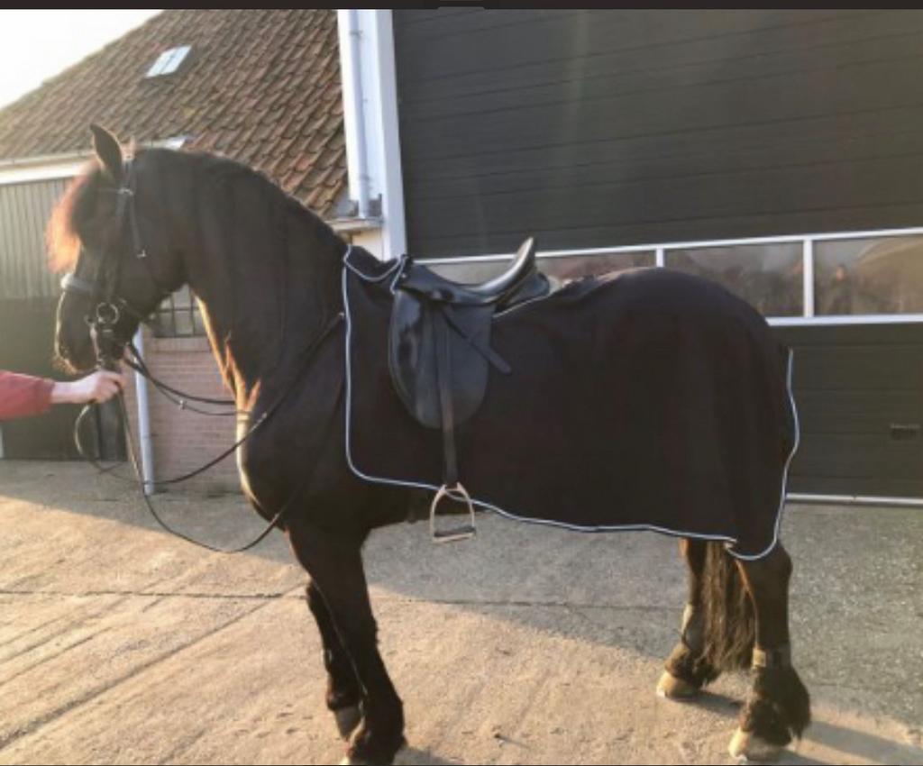 Nieuwe uitrijdeken, Dieren en Toebehoren, Ophalen of Verzenden, Nieuw, Deken