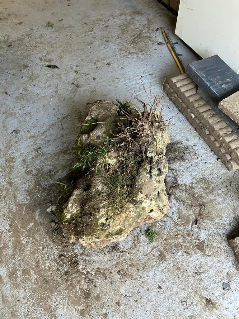 GRATIS Decoratieve siersteen voor tuin - 70x50x40 cm, Tuin en Terras, Tuinbeelden, Ophalen, Gebruikt, Steen, Overige typen