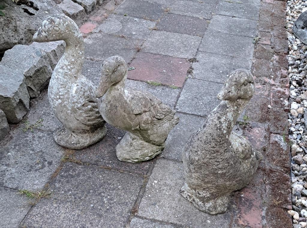 Beeld beelden betonnen beelden ganzen decoratie, Ophalen