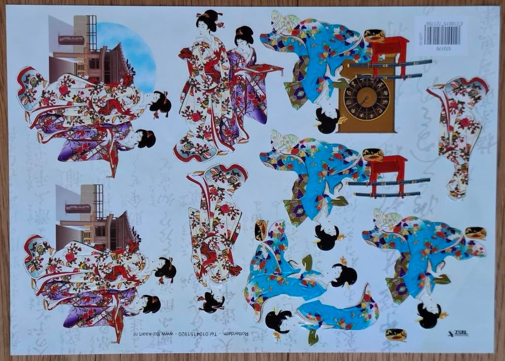 3D-Knipvel (TBZ Rotterdam)
Japanse Dames - nr. 572170, Ophalen of Verzenden, Nieuw, Knipvel