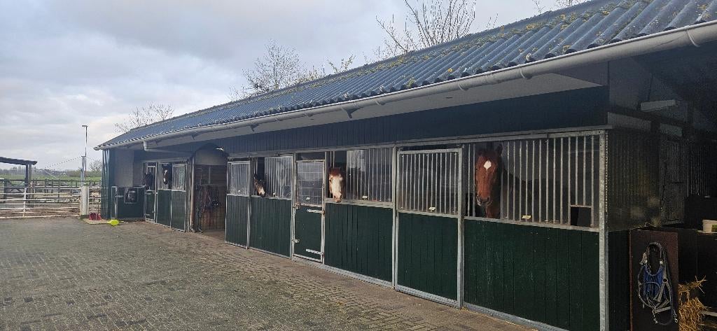 paardenbox per direct beschikbaar, Weidegang, 1 paard of pony