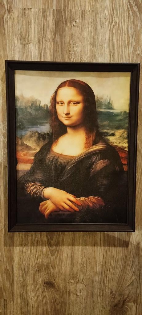 Super Leuke ingelijst Canvas Print van Mona Lisa, Minder dan 50 cm, Nieuw, Ophalen of Verzenden, Schilderij