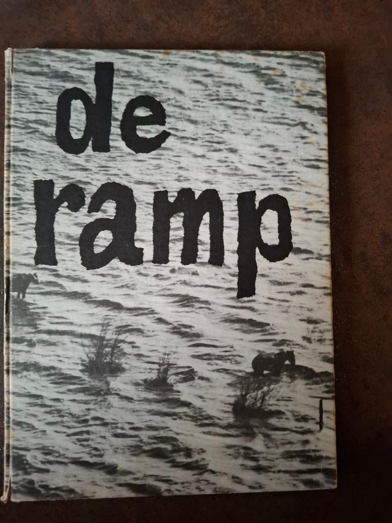 Boek: De ramp, Ophalen of Verzenden, Zo goed als nieuw