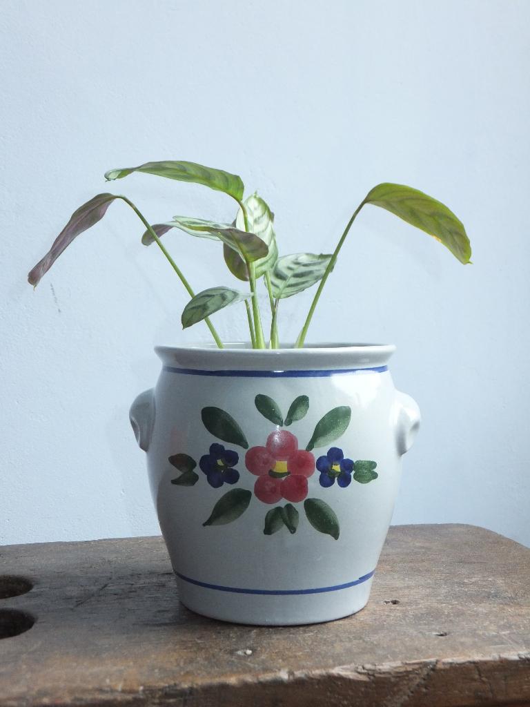 vintage grijsblauw bloem-, cactuspotje Germany met verzenden, Verzenden