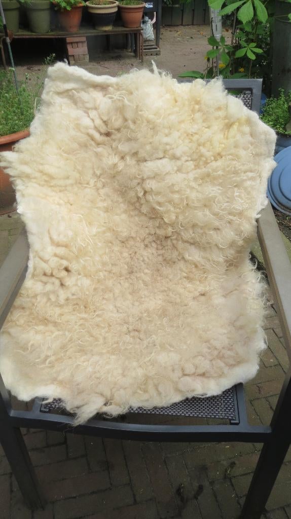 Ouessant schaap hand gevilte vacht, 85x60cm, roomwit, wol, Verzenden, Nieuw