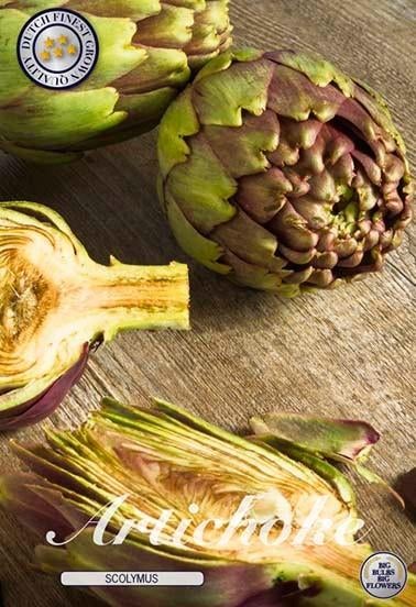 bloembollen, Ophalen of Verzenden, Voorjaar, Volle zon, Bloembol