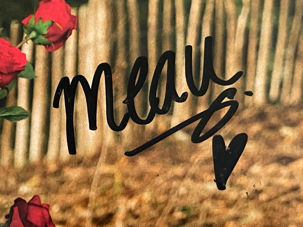 Vinyl LP Meau Liefde Onderschat GESIGNEERD NIEUW (Douwe Bob), Cd's en Dvd's, Vinyl | Nederlandstalig, Ophalen of Verzenden, Nieuw in verpakking