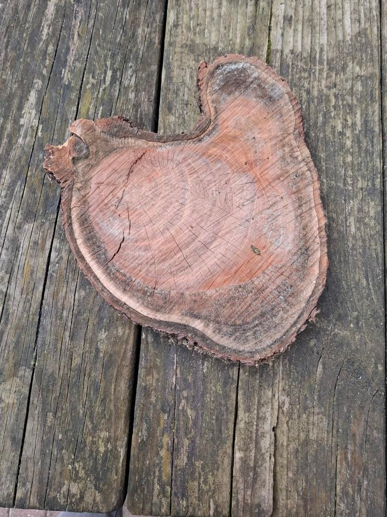 2 stuks, Unieke houten decoratie schijf Natuurlijke boomstam, Ophalen of Verzenden, Gebruikt