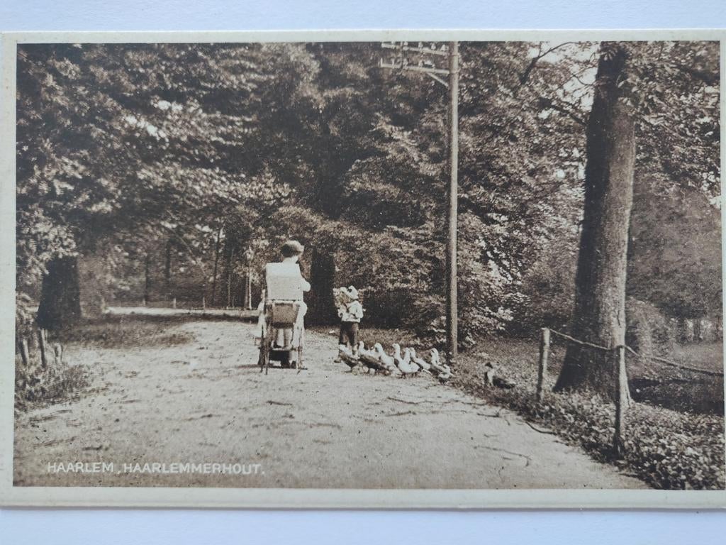 U503 Haarlem, Ophalen of Verzenden, 1920 tot 1940, Noord-Holland