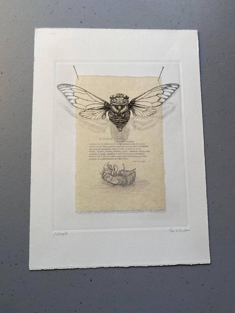 Gerard van Rooy – De Zingende Cicaden – ets 6/100, Antiek en Kunst, Ophalen