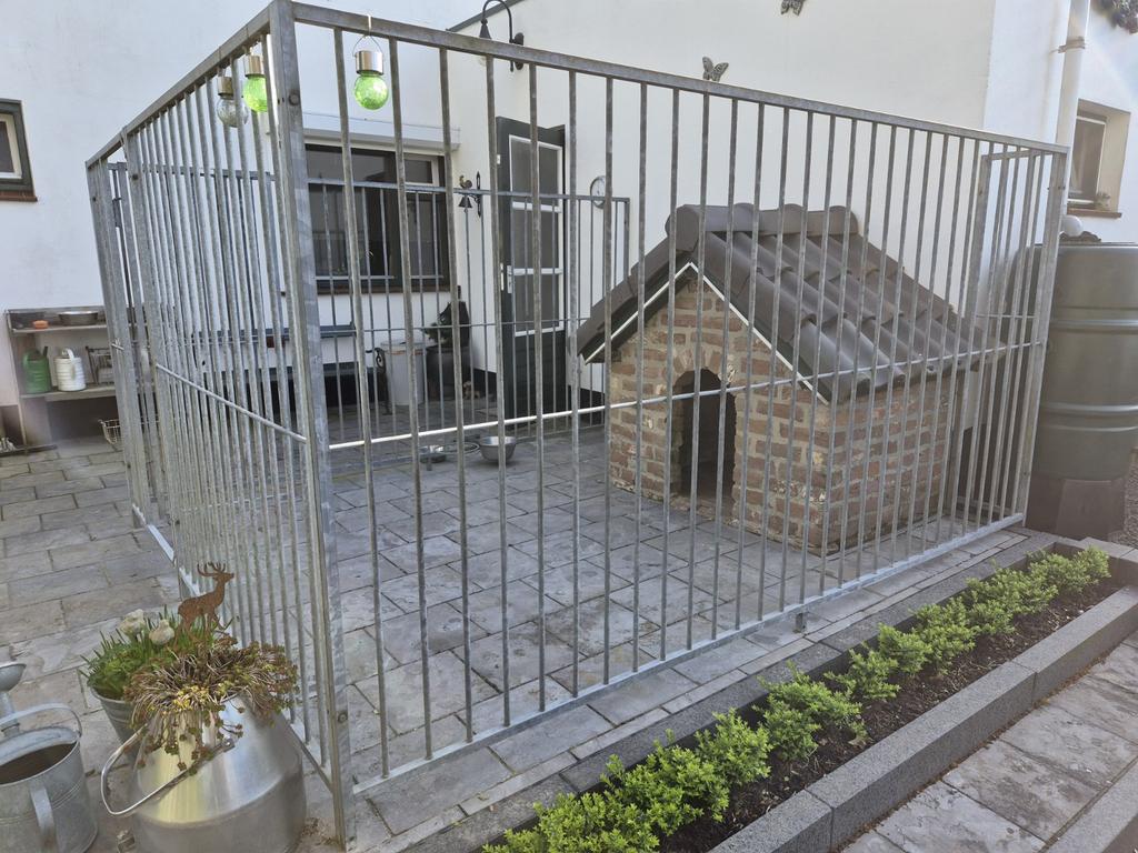 Hondenkennel, hondenren, Ophalen, Hondenkennel, 100 cm of meer, 110 cm of meer