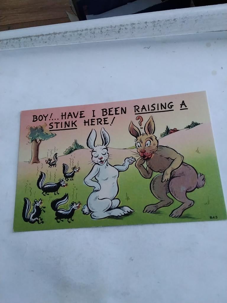 BOY!...HAVE. I BEEN RAISING A STINK HERE!  /HAZEN, Ophalen of Verzenden, Voor 1920, Overige thema's