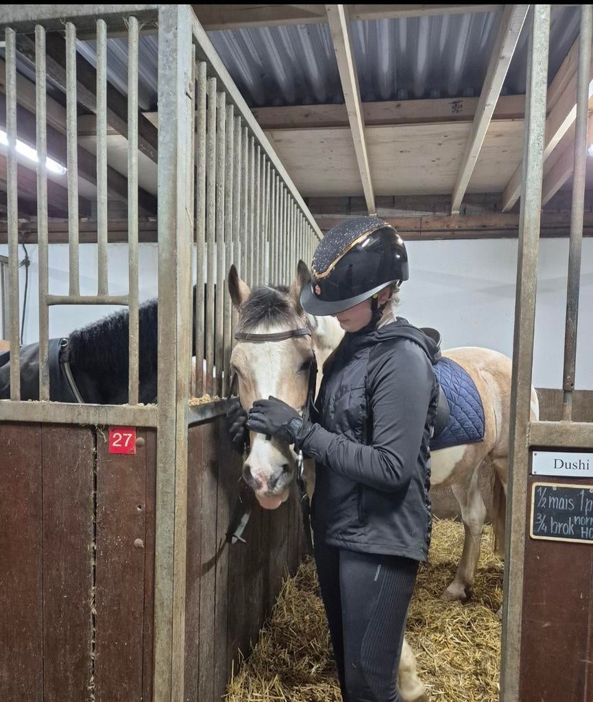 Verzorgpony/paard gezocht verzorger aangeboden, Verzamelen, Dierenverzamelingen, Ophalen of Verzenden