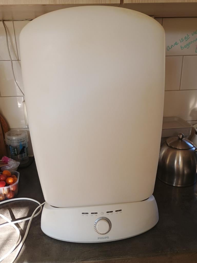 Daglichtlamp Philips, Ophalen of Verzenden, Gebruikt