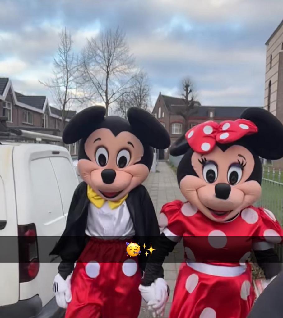 MICKEY & MINNIE MASCOTTE VERHUUR, Eén persoon