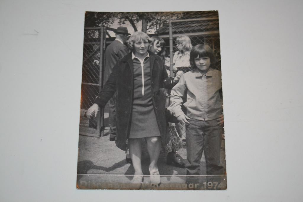 DIERENPARK WASSENAAR. 1974., Verzamelen, Verzenden, 1960 tot 1980, Ongelopen, Paard