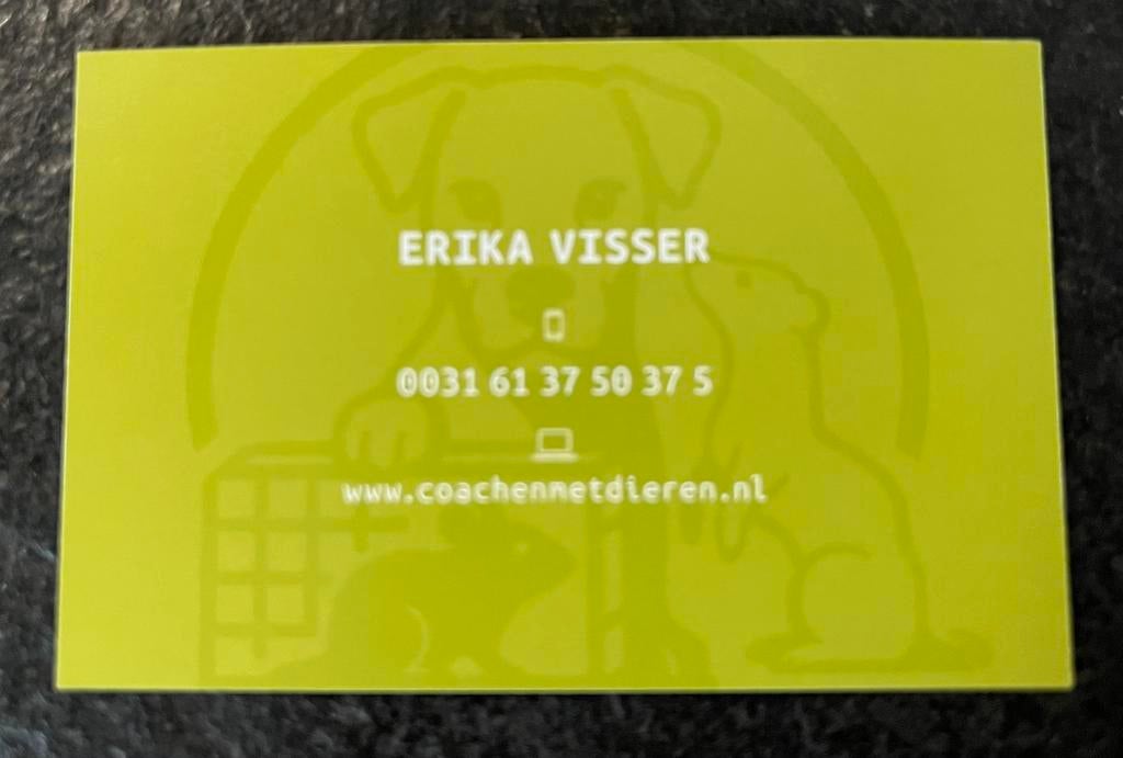 Ratten vangen, ratten weren, ratten bestrijden, rat overlast, Muizen of Ratten