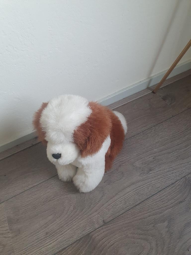 Knuffel hond zeldzame, Ophalen, Zo goed als nieuw, Hond