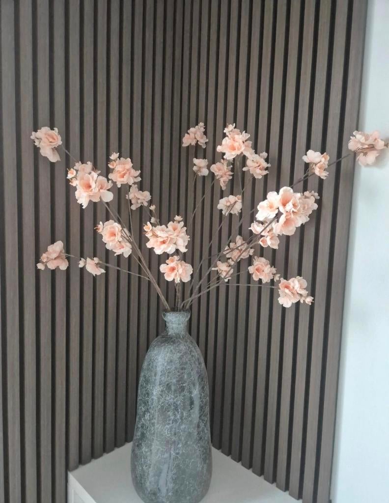 Bloesemtakken, Ophalen of Verzenden