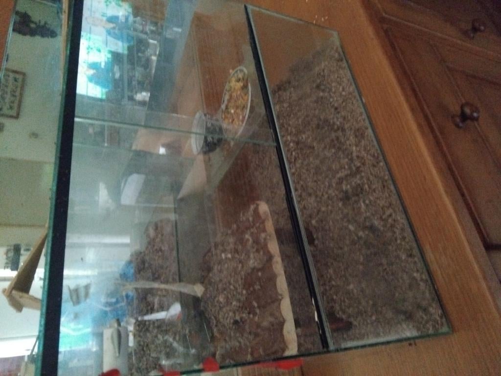 Gerbils, Dieren en Toebehoren, Kooi, Minder dan 75 cm, Zo goed als nieuw, Ophalen